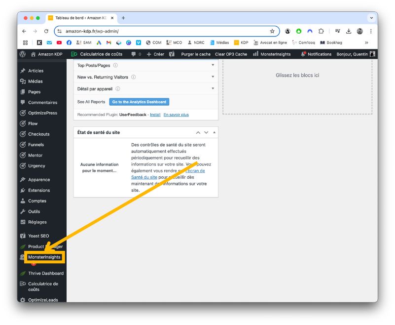installer monster insight wordpress