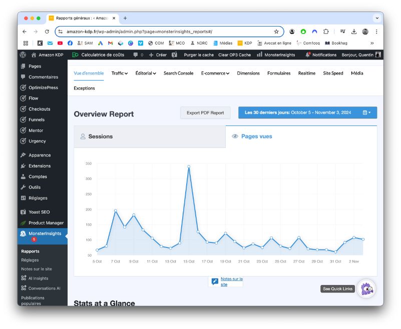 wordpress google